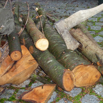 Holz