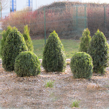 Gartengestaltung