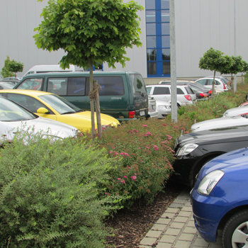 Außenanalgen Gewerbe