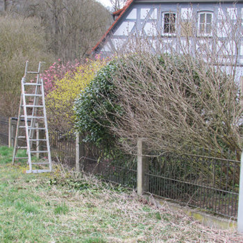 Grünanlagen