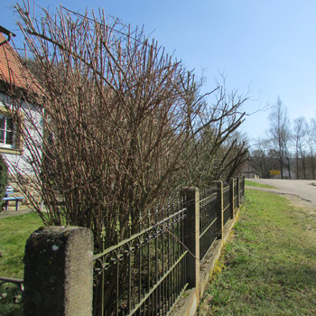 Grünanlagen