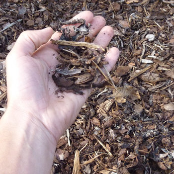 Mulch