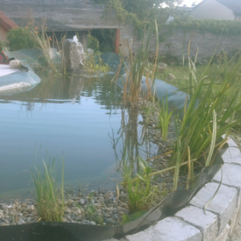 Teichbau